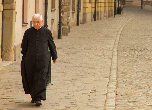 Almas sacerdote sabio